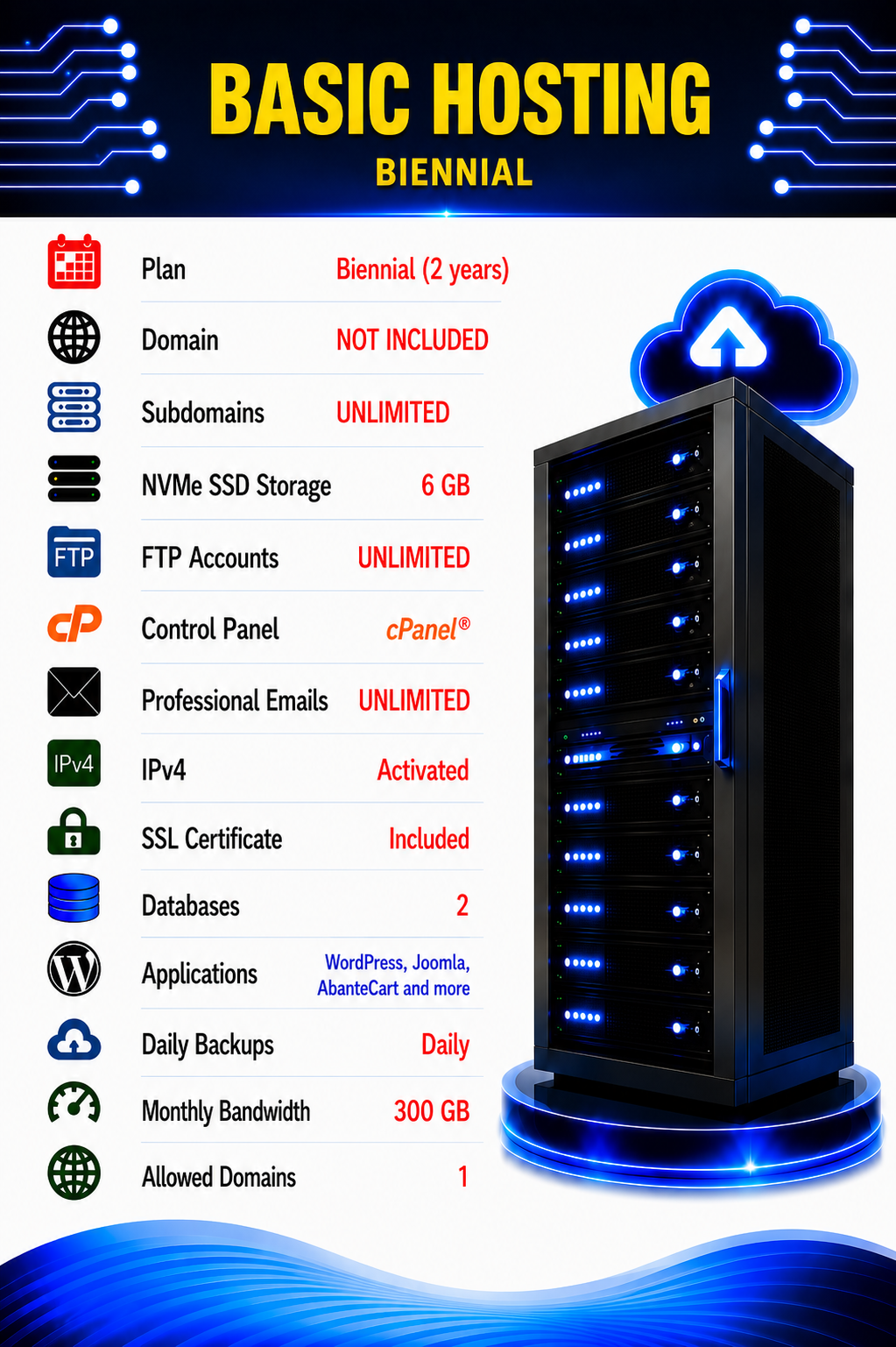 Basic Hosting – Biennial