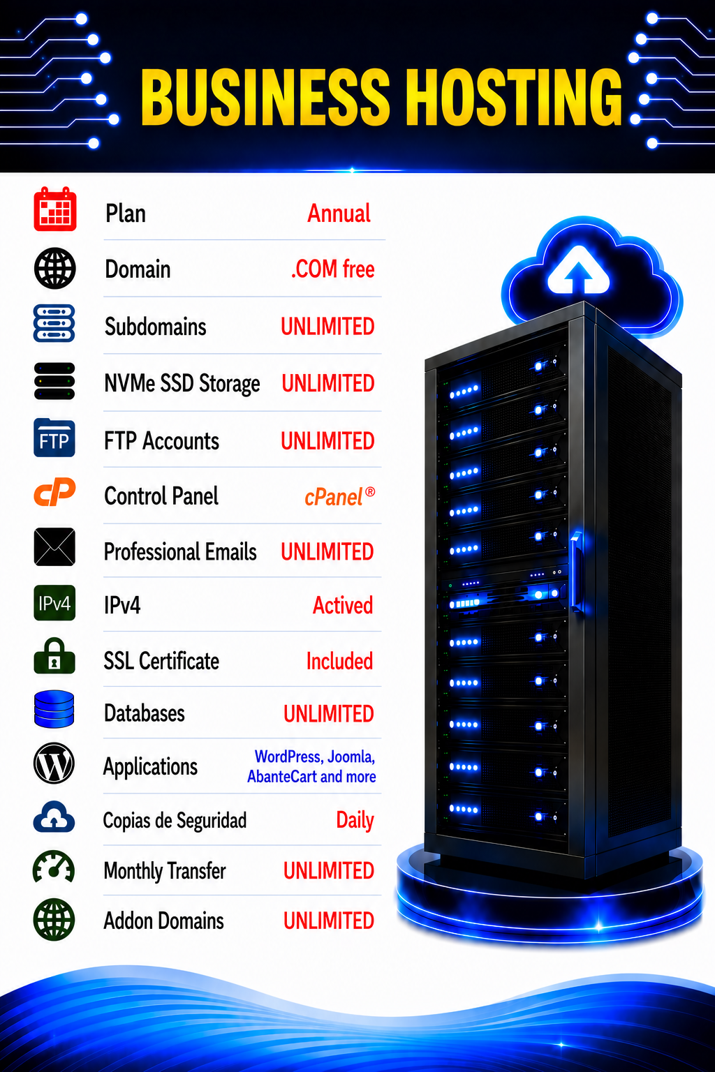 Business Hosting