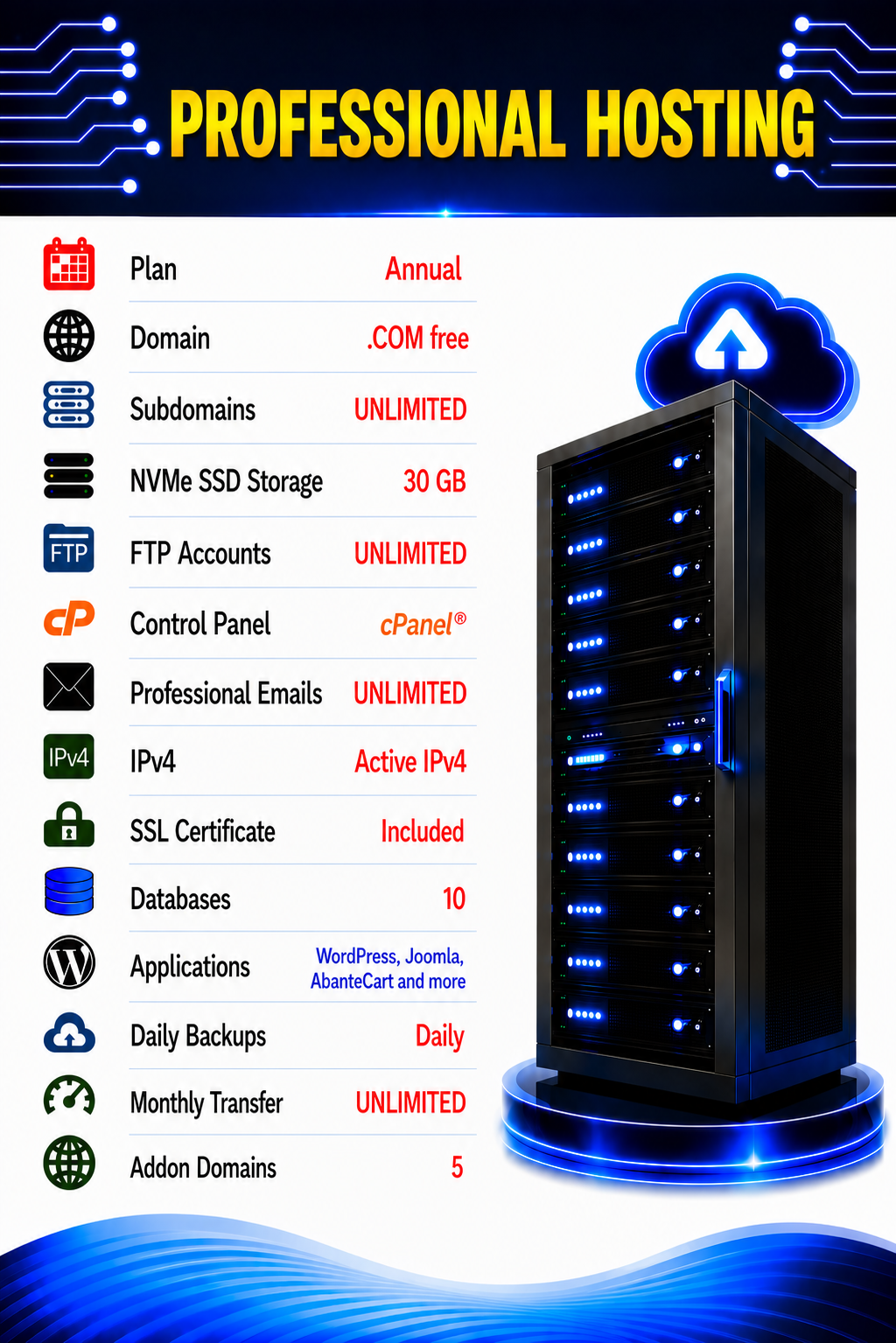 Professional Hosting
