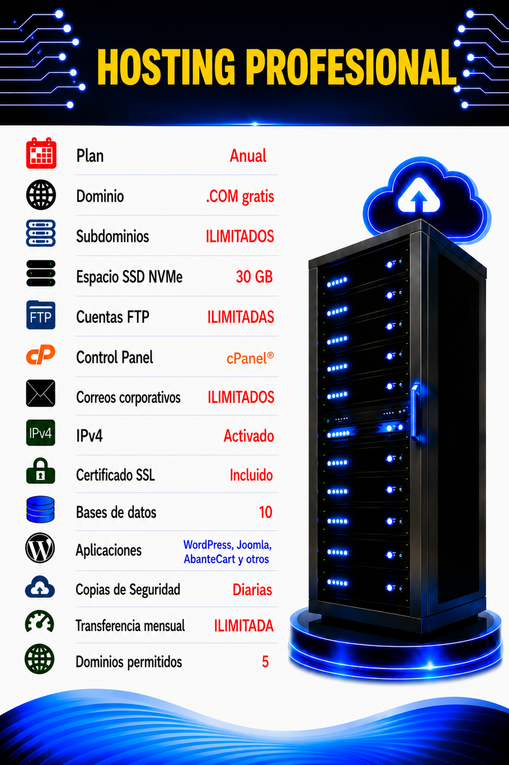 Hosting Profesional