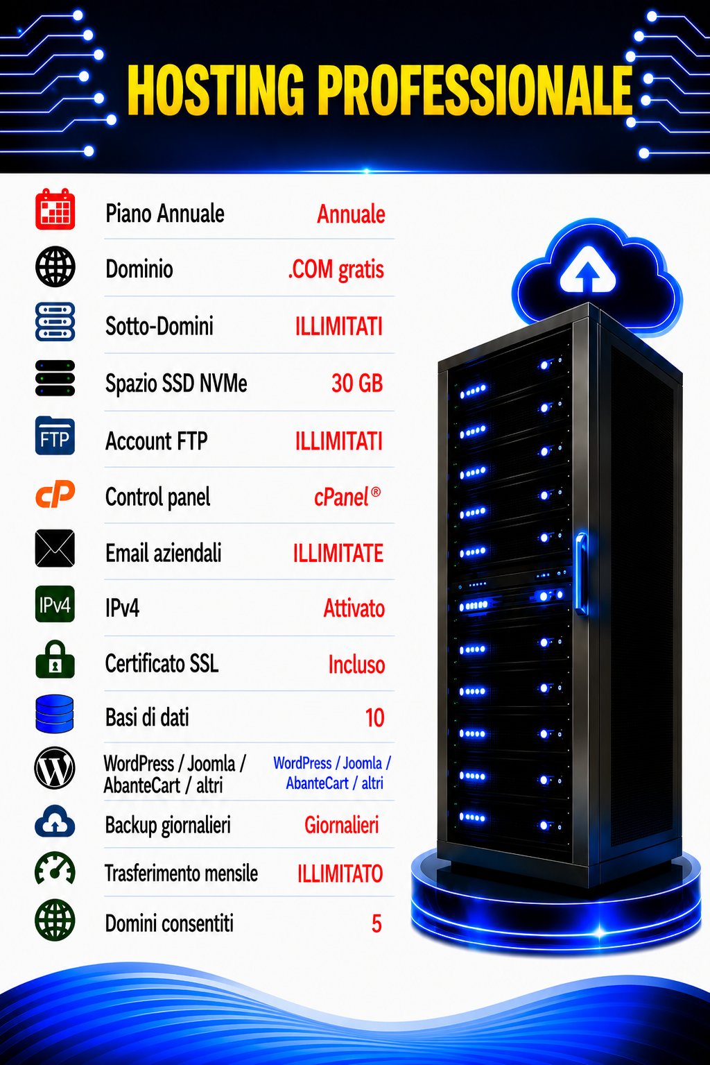 Hosting Professionale
